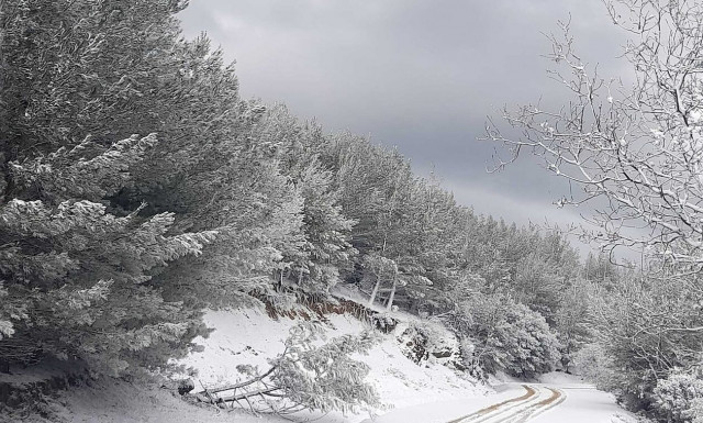 Κακοκαιρία «Μπάρμπαρα»: Στα «λευκά» και η Μυτιλήνη - Χιόνια στο Πλωμάρι
