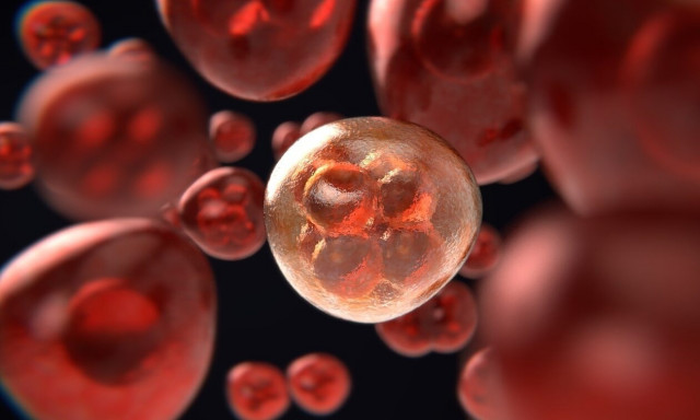 Καρκίνος: Πρώιμη διάγνωση, θεραπεία και ανακουφιστική φροντίδα οι πυλώνες της εθνικής πολιτικής