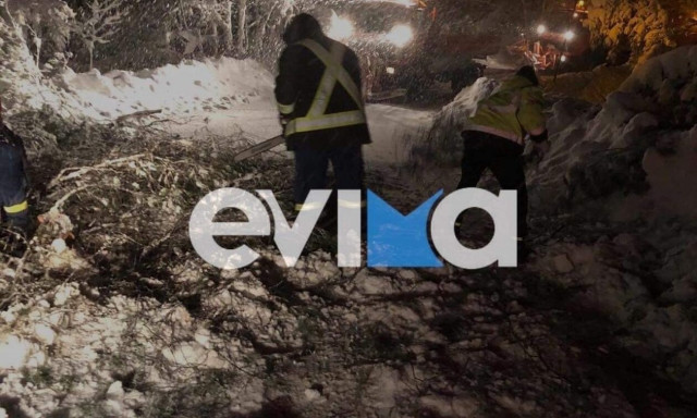 Κακοκαιρία Μπάρμπαρα: Κορμοί δέντρων έπεσαν σε δρόμο στη Βόρεια Εύβοια