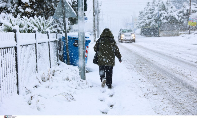 Κακοκαιρία Μπάρμπαρα: Ποια σχολεία θα είναι κλειστά την Τρίτη - Το ωράριο σε Δημόσιο, καταστήματα