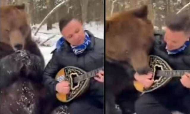 Λαρισαίος έγινε viral παίζοντας μπουζούκι στα χιόνι με μια αρκούδα δίπλα του να τον γλείφει