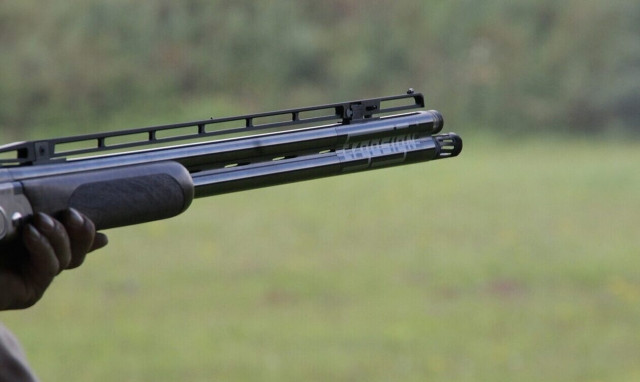 Σέρρες: 91χρονος πυροβόλησε τη νύφη του και αυτοκτόνησε