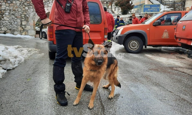 Εύβοια: Σκύλος της ΕΜΑΚ στην έρευνα για τον εντοπισμό του ηλικιωμένου που αγνοείται από τη Δευτέρα