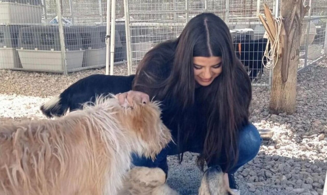 Εκδήλωση για τα αδέσποτα ζώα του Δήμου Σπάρτης