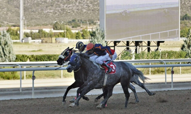 Markopoulo Park: Τρία ΣΚΟΡ και πέντε ελληνικές ιπποδρομίες τη Δευτέρα
