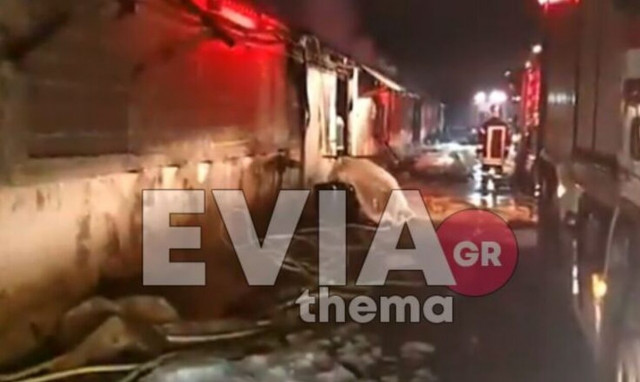 Εύβοια: Φωτιά σε πτηνοτροφική μονάδα στον Πισσώνα - Άμεση η επέμβαση των εθελοντών Ψαχνών