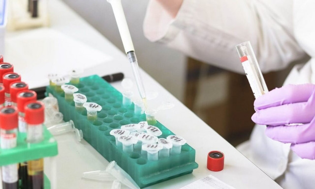 Συναγερμός στην Ισημερινή Γουινέα: Επιδημία αιμορραγικού πυρετού με 9 νεκρούς