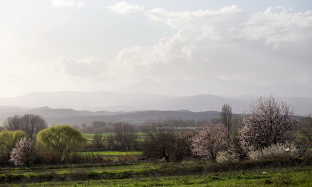 Καιρός: Μετά την Μπάρμπαρα… έρχονται Αλκυονίδες με 20 βαθμούς