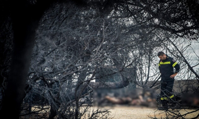 Δίκη για το Μάτι: Ένταση στο δικαστήριο - «Ντροπή δε σέβεστε τους νεκρούς»