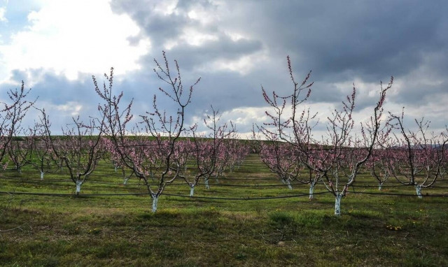 Καιρός: Συννεφιά και ζέστη για την επόχή στο μεγαλύτερο μέρος της χώρας