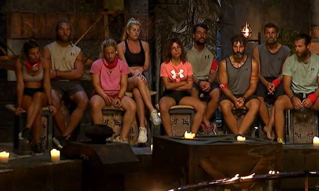 Survivor All Star