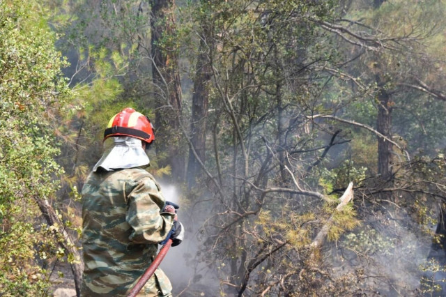 Μεγάλη φωτιά στo Κυπαρίσσι Αχαΐας - Σηκώθηκαν εναέρια μέσα