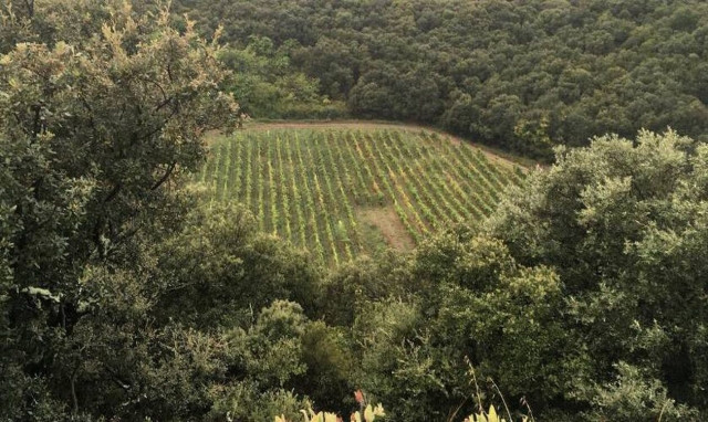 Γαλλία: Βρέθηκε κρατήρας μετεωρίτη βάθους 30 μέτρων