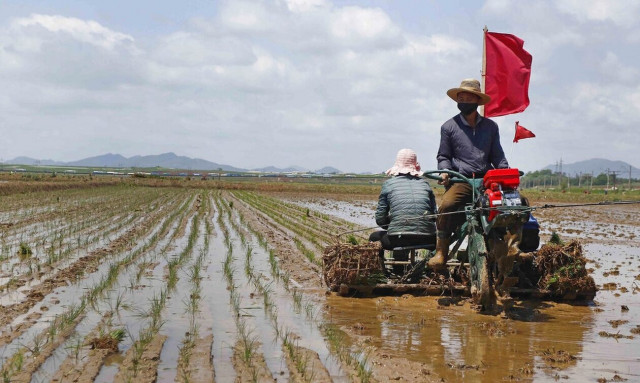 Βόρεια Κορέα: Φόβοι για σοβαρές ελλείψεις τροφίμων - Αναφορές για θανάτους λόγω πείνας