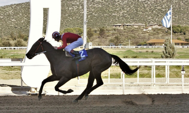 Markopoulo Park: Μεγάλα κέρδη μοίρασε το ΣΚΟΡ 6
