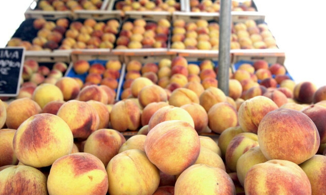 Αγροτικά: «Κλείδωσαν» οι αποζημιώσεις για ροδάκινα, βερίκοκα και νεκταρίνια