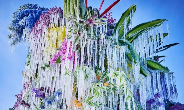 «Frozen Flowers 2023»: Νέα εγκατάσταση από τον Ιάπωνα καλλιτέχνη ανθοσυνθέσεων Azuma Makoto