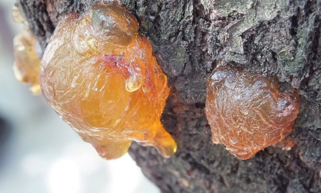 ΔΥΠΑ: Δείτε τους οριστικούς πίνακες για τις 181 θέσεις του ειδικού προγράμματος απασχόλησης