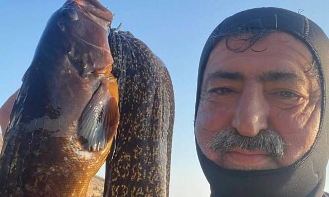 Παύλος Πολάκης: Πώς σχολίασε την απόσυρση Νικολάου από τα ψηφοδέλτια ΝΔ - Η φωτογραφία με τη σμέρνα