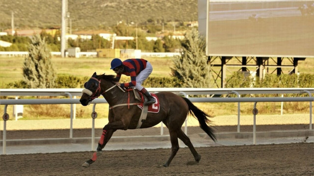 Επτά δυνατές ελληνικές ιπποδρομίες στο Markopoulo Park