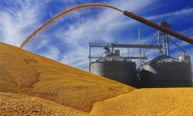 Γενεύη: Άρχισαν οι συνομιλίες για την παράταση της συμφωνίας εξαγωγής σιτηρών