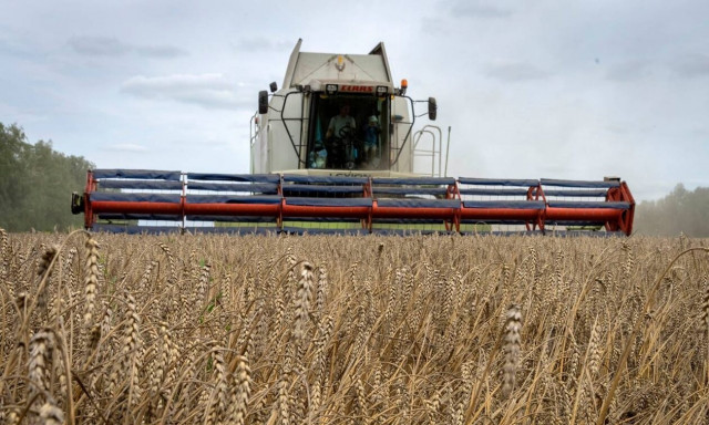 Ρωσία: Παρατείνεται για 2 μήνες η συμφωνία για τα σιτηρά της Μαύρης Θάλασσας