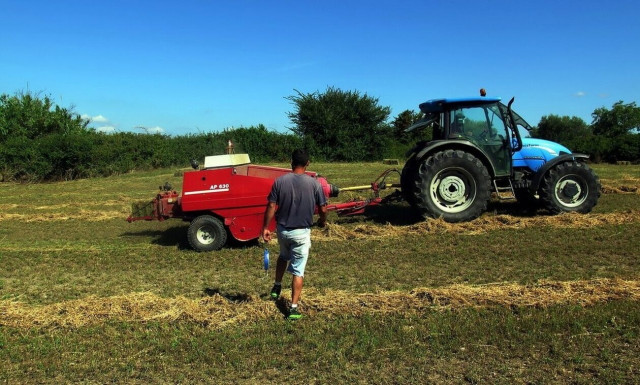 Σχέδια Βελτίωσης (Δράση 4.1.5): Ξεκίνησαν οι αιτήσεις – Ποιοι είναι οι δικαιούχοι
