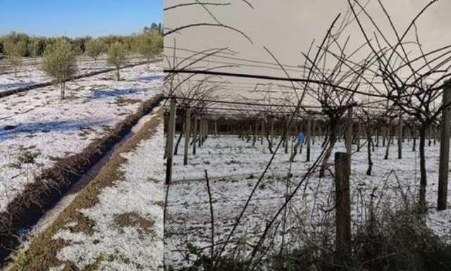 Κακοκαιρία - Άρτα: Ζημιές σε καλλιέργειες από τη σφοδρή χαλαζόπτωση