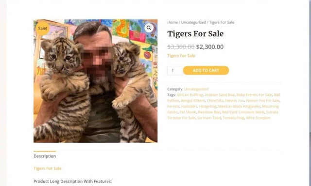 Λαθρέμποροι άγριων ζώων: Έβγαζαν εκατομμύρια και τα περνούσαν παράνομα στην Ελλάδα