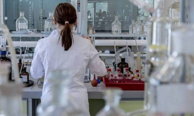 Ο θανατηφόρος μύκητας που προκαλεί συναγερμό στις ΗΠΑ