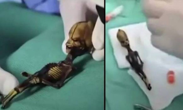 Λύθηκε το μυστήριο με εξωγήινο 15 εκατοστών που είχε βρεθεί πριν από χρόνια