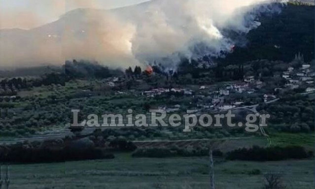 Φθιώτιδα: Μεγάλη φωτιά στη Μενδενίτσα - Άνεμοι 6 μποφόρ στην περιοχή