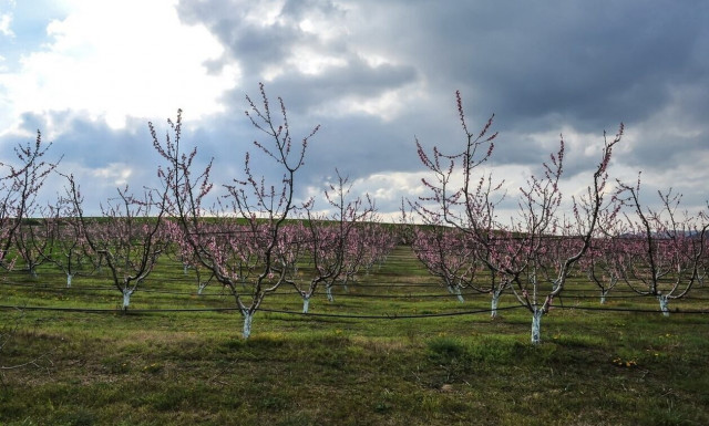 Μαρουσάκης: Έρχονται έντονες καιρικές μεταβολές - Μετά τη ζέστη και τη σκόνη έρχεται κακοκαιρία