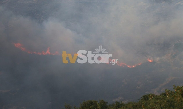Φθιώτιδα: Οριοθετήθηκαν και οι τέσσερις φωτιές στον Δομοκό