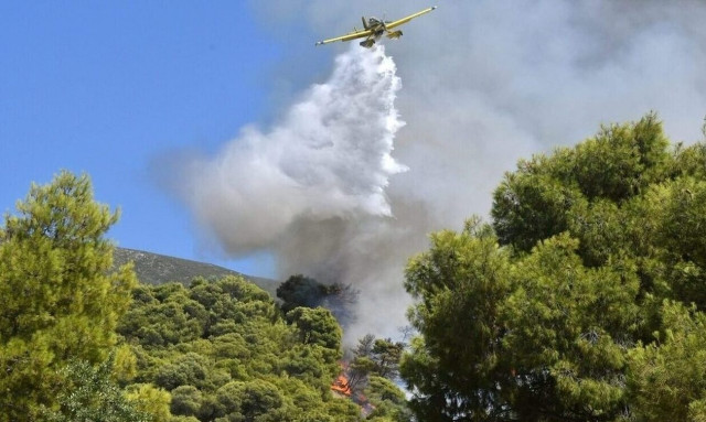 Φθιώτιδα: Φωτιά στο Νεοχώρι Δομοκού - Δύο αεροσκάφη στο σημείο