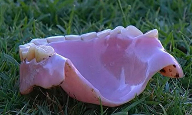 Βραζιλία: Ρεπόρτερ δέχθηκε μασέλα από την εξέδρα σε πανηγυρισμούς (vid)