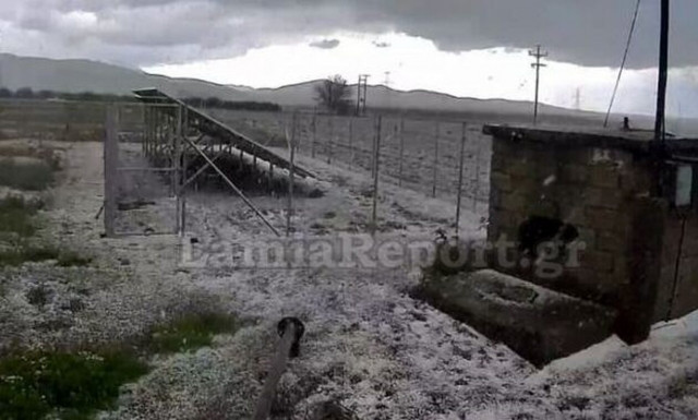 Καιρός, Λαμία 