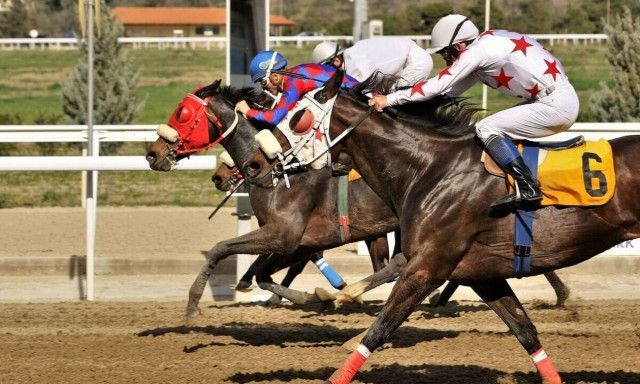 Markopoulo Park: Έξι ελληνικές ιπποδρομίες στη συγκέντρωση της Δευτέρας