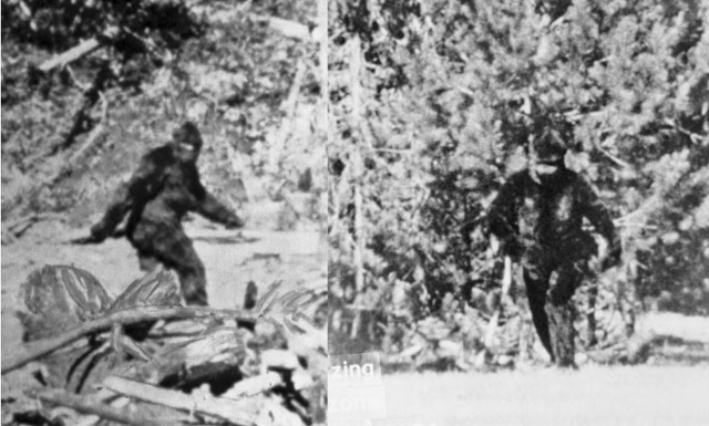 Πώς εξηγείται ο μύθος του Μεγαλοπόδαρου - Νέα έρευνα απαντά