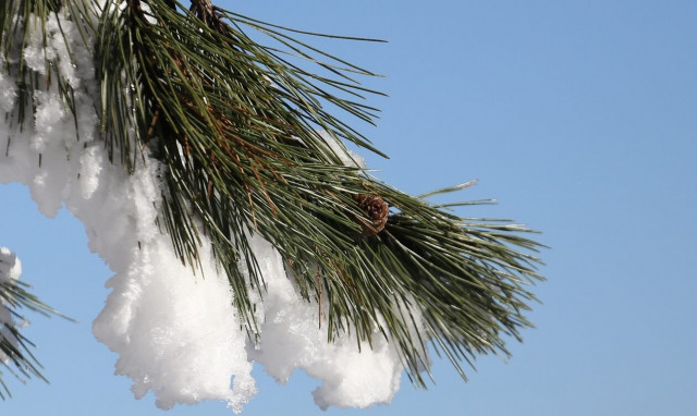 Καιρός: Χιονίζει στην Πάρνηθα - Βροχές αλλά και άνοδος της θερμοκρασίας τη Μεγάλη Τρίτη