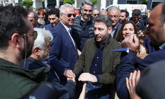 Νίκος Ανδρουλάκης