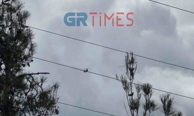 Θεσσαλονίκη: «Σμήνος» από Σινούκ πέταξαν πάνω από την πόλη