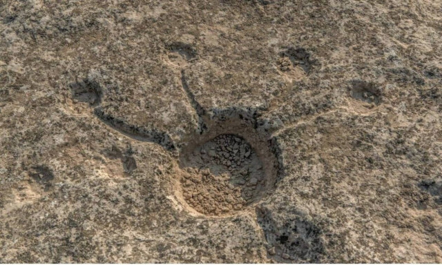 Κατάρ: Τα μυστηριώδη σύμβολα που είναι χαραγμένα στην έρημο - Η σημασία τους