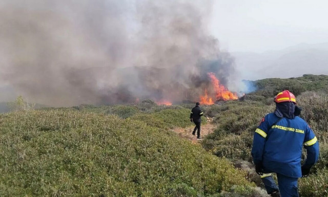 Φωτιά στα Μέγαρα - Επιχειρούν εναέρια μέσα