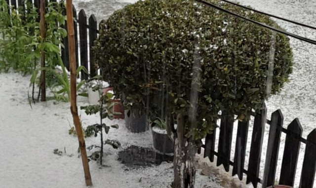 Καιρός: Ζημιές σε καλλιέργειες από την ισχυρή χαλαζόπτωση στο Ζάρκο Τρικάλων