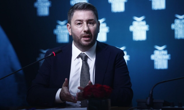 Νίκος Ανδρουλάκης