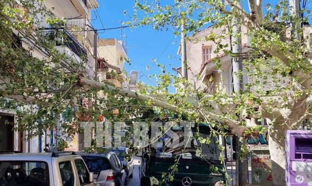 Πάτρα: Κλαδί- γίγας κατέληξε πάνω σε φορτηγό και σε μπαλκόνι