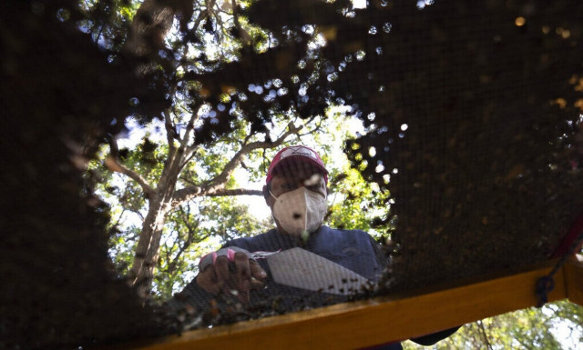 Μεξικό: Τουλάχιστον 26 πτώματα βρέθηκαν σε μυστικούς τάφους  