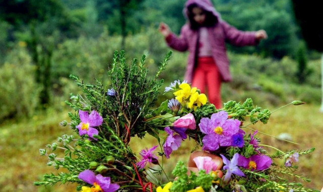 Καιρός: Λιακάδες σήμερα - Πού θα βρέχει την Πρωτομαγιά