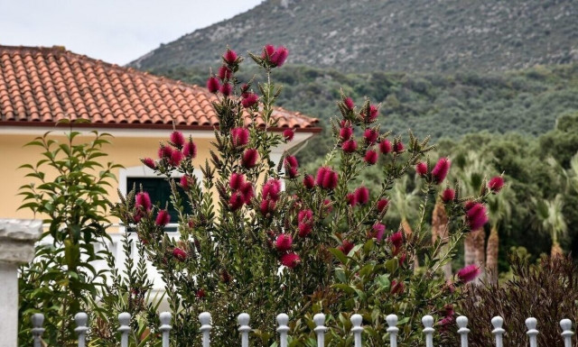 Καιρός: Συννεφιασμένη Κυριακή - Βροχές και καταιγίδες την Πρωτομαγιά